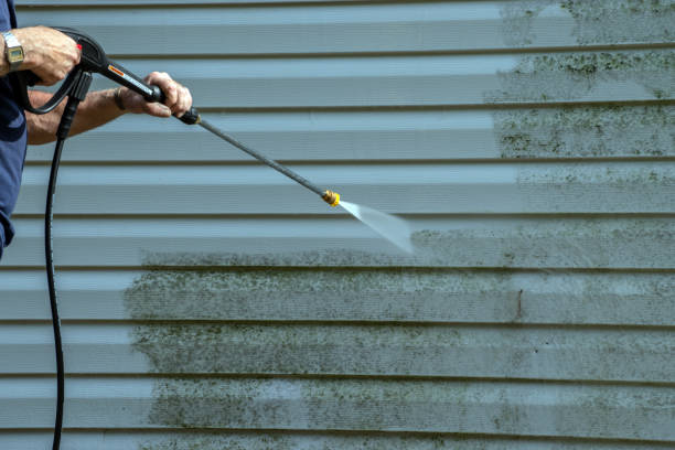 Best Roof Power Washing Services  in Chariton, IA