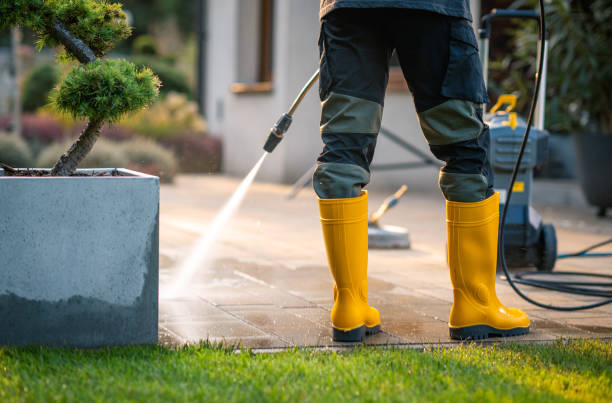 Best Pressure Washing Siding  in Chariton, IA